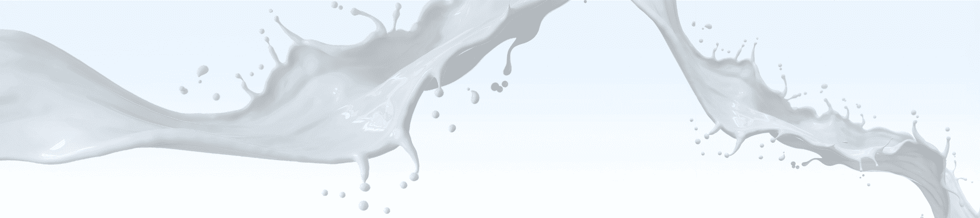 El Rincón de la Leche