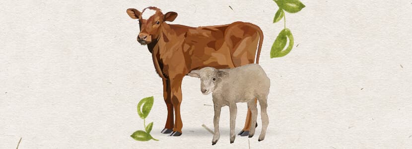 ¿Es posible optimizar el rendimiento con aditivos naturales?