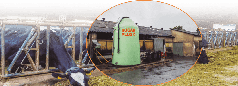 El Pinòs Nou, una apuesta por la calidad de leche con SUGARPLUS