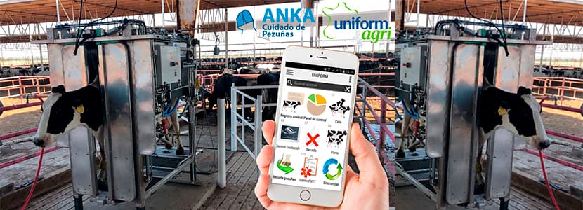 Intercambio de datos salud podal entre UNIFORM-Repro y la app de salud podal Hoof Manager