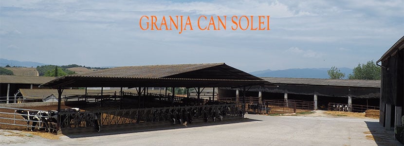 Ganadería Can Solei: Tradición, Bienestar Animal y Calidad de leche