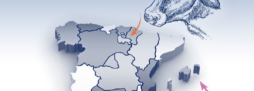Situación actual de la Lengua Azul en España