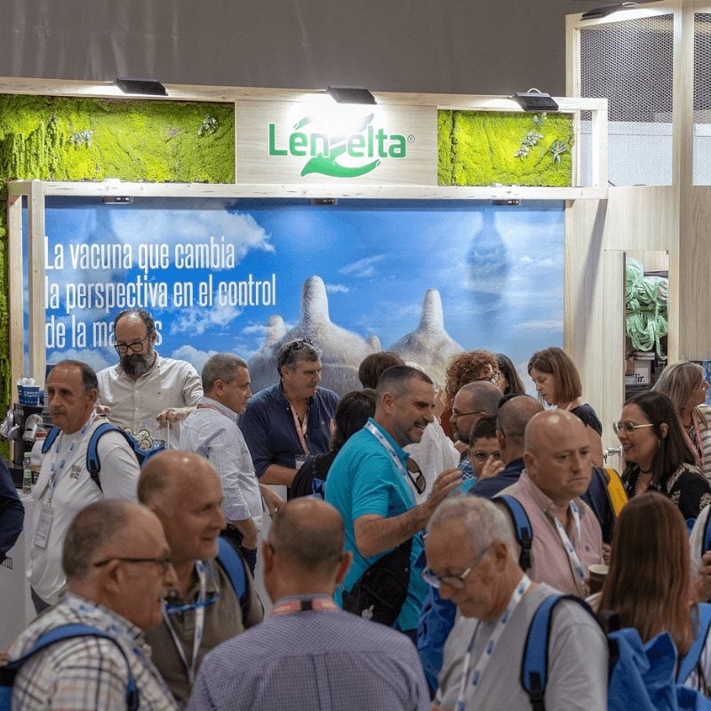 Boehringer Ingelheim presenta en el Congreso ANEMBE su nueva vacuna para el control de la mastitis