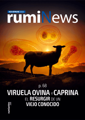 rumiNews Noviembre 2022