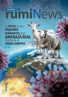 rumiNews Diciembre 2024