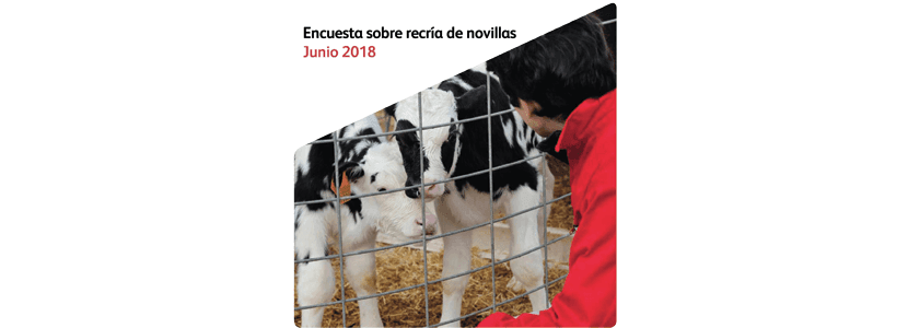 Calostro y escasez de datos - Críticos en la recría de novillas