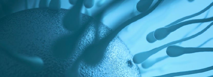 Cambio de paradigma en asesoría reproductiva: perfil de progesterona en leche