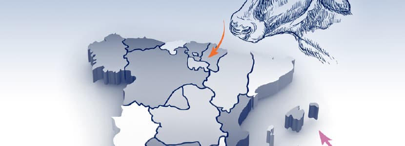 Situación actual de la Lengua Azul en España