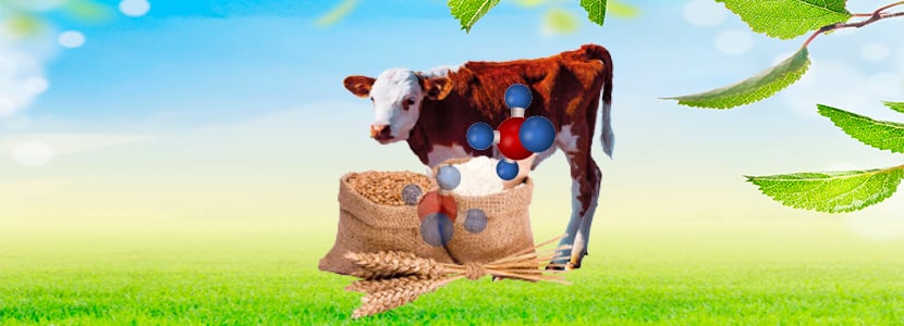 Eficiencia alimentaria en cebo de terneros según el modelo de alimentación F/C:10/90
