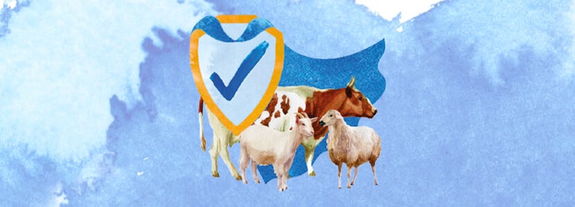 Logros, nuevos retos y acciones del PRAN en sanidad animal - Un compromiso a nivel global