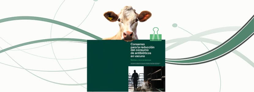 Boehringer Ingelheim presenta el Documento de Consenso para la Reducción del Consumo de Antibióticos en Vacuno