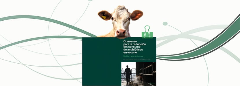 Boehringer Ingelheim presenta el Documento de Consenso para la Reducción del Consumo de Antibióticos en Vacuno