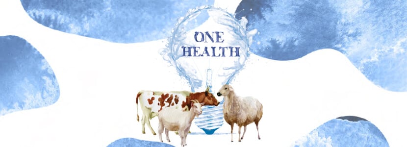 Resistencia antimicrobiana en España: un engranaje clave del abordaje One Health europeo