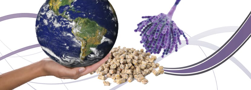 Micotoxinas en la alimentación animal ¿Cómo cambiará el cambio climático nuestra perspectiva actual?