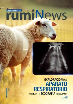 rumiNews Septiembre 2025
