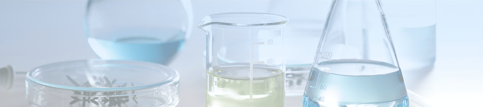 Investigación