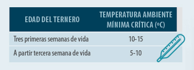 producción carne de vacuno