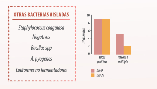 alteraciones mamas