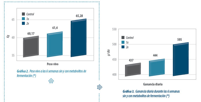 alimentación animal
