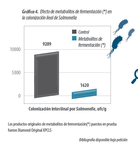 alimentación animal