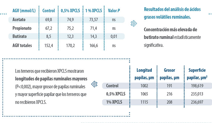 alimentación animal