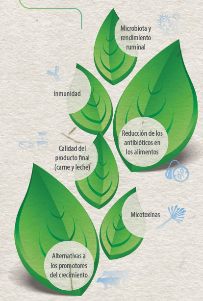 eficiencia alimentaria