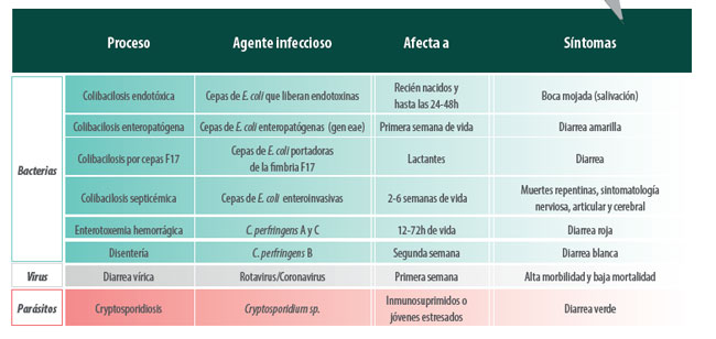patologías digestivas