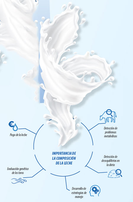 producción de leche