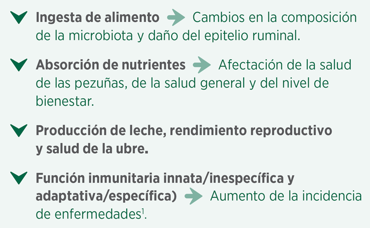 estrés por calor