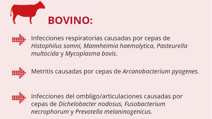 Labimycin®