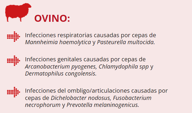 Labimycin®