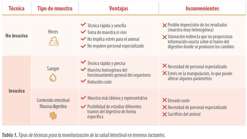salud intestinal