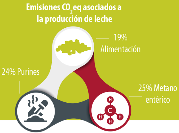 CO2eq