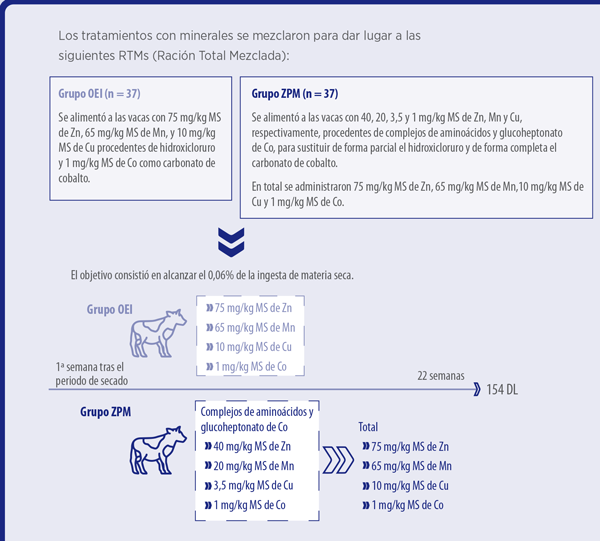 vacas lecheras
