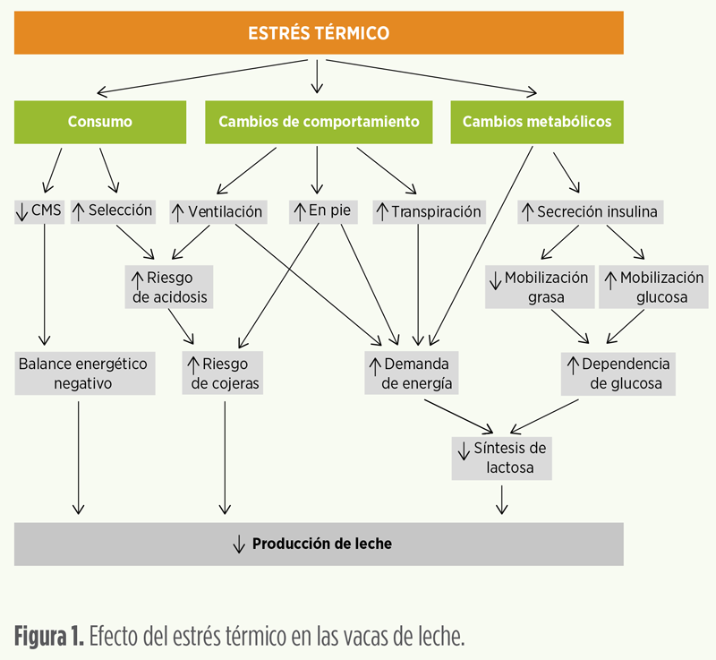 aumento de temperaturas