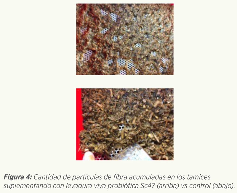 eficiencia alimentaria